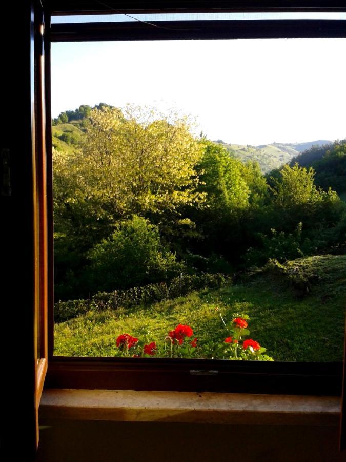 Agriturismo Il Casale Pica Posta Eksteriør bilde