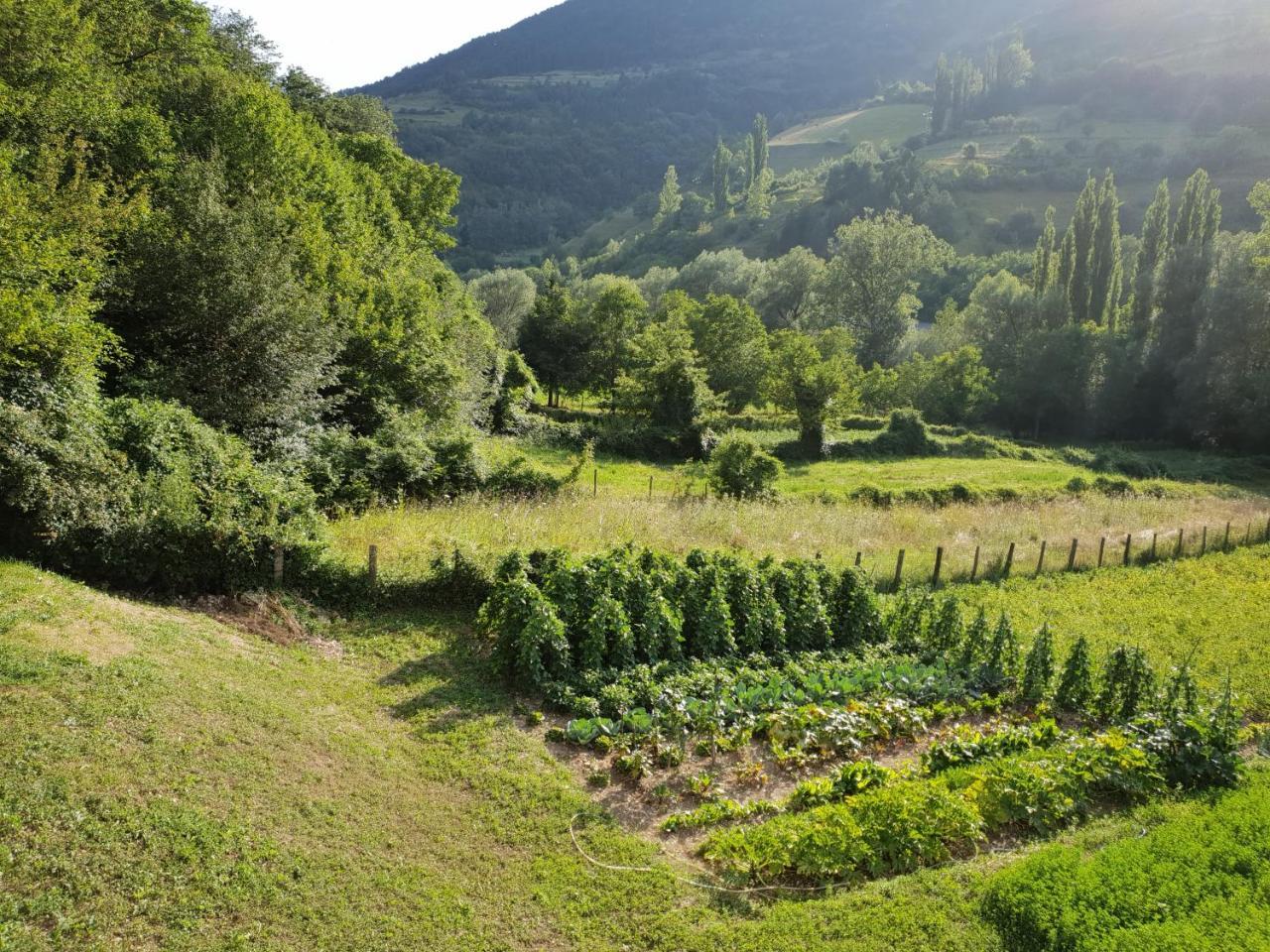 Agriturismo Il Casale Pica Posta Eksteriør bilde